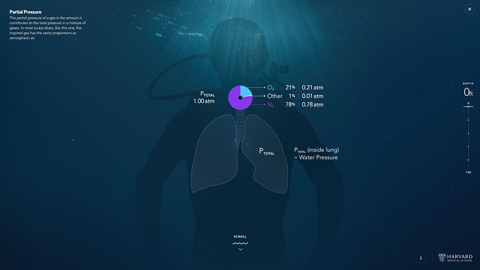 Interactive Learning